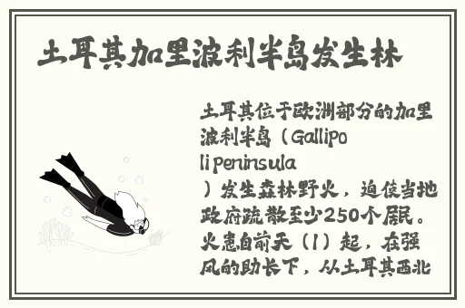 旅行者缩小进纳西达的NK